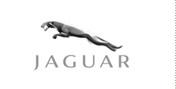 Jaguar Microsite